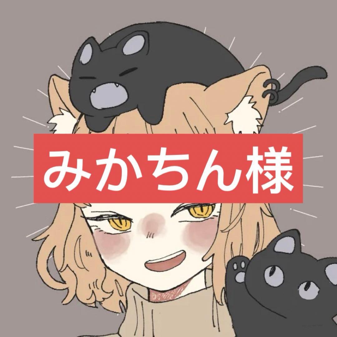 みかちん様専用ページ